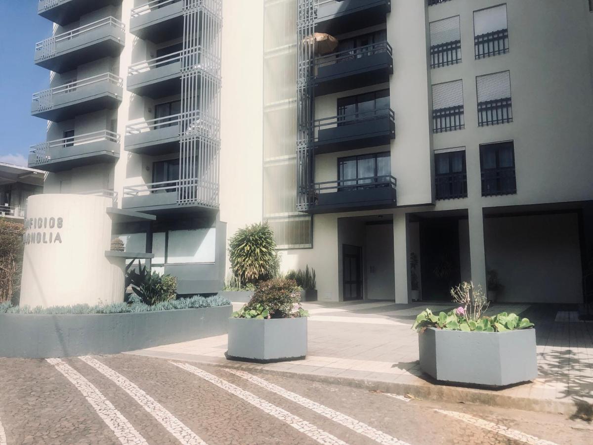 فونشال Blue River - Rua Dr Pita - Rooms Near Jardim Magnolia المظهر الخارجي الصورة